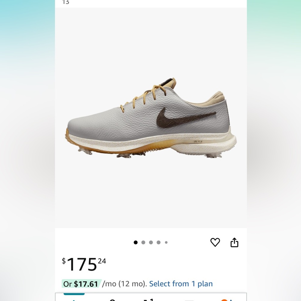 Nikey tour victory golf shoes